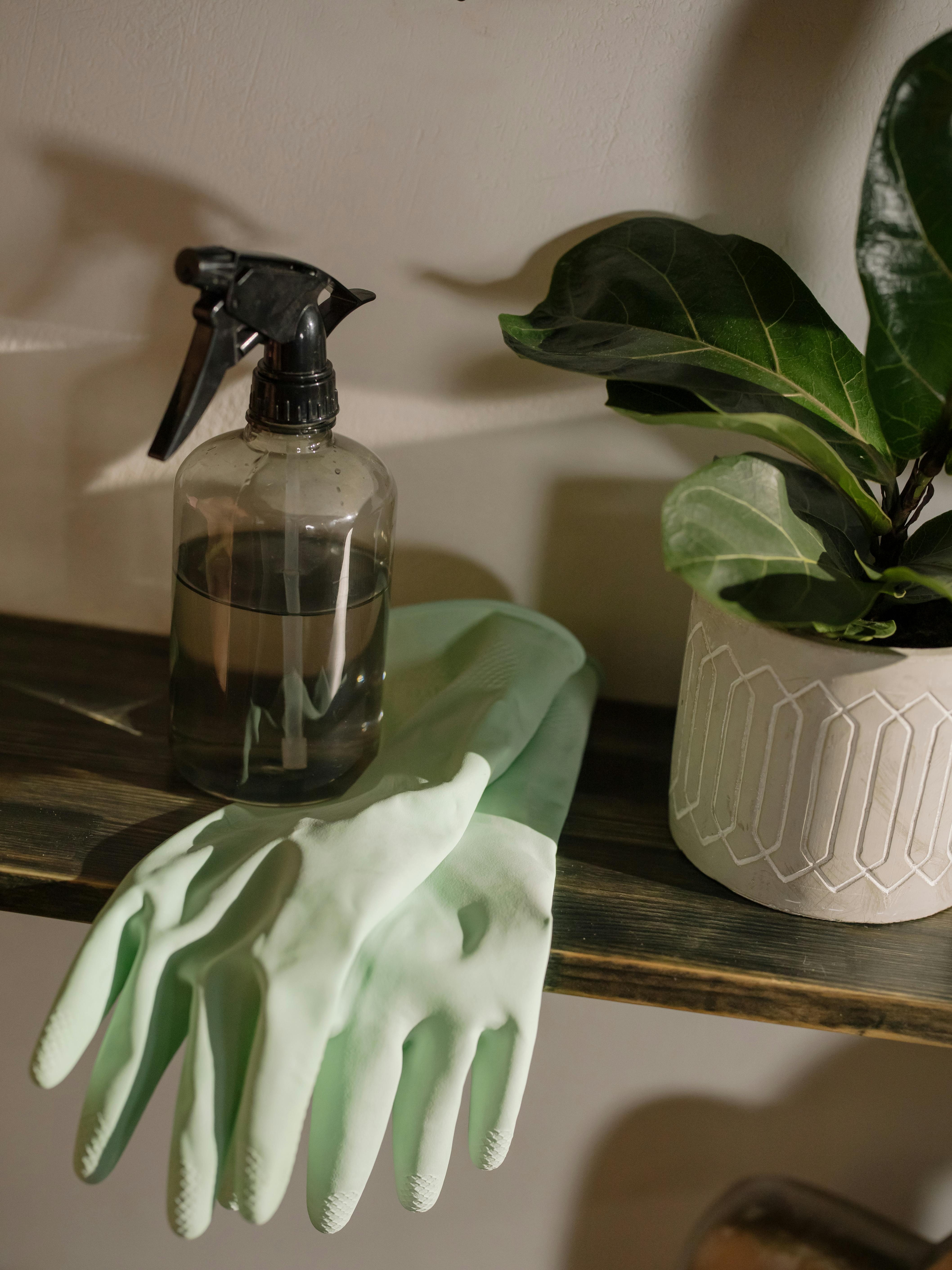 Household essentials grouped in organized setup